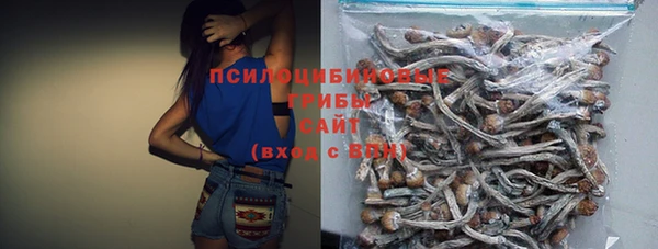 spice Арсеньев