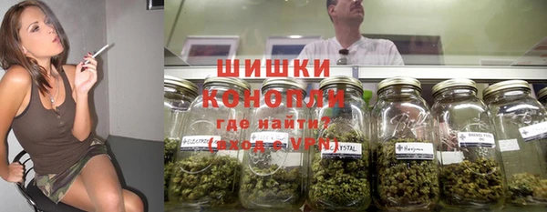 шишки Армянск