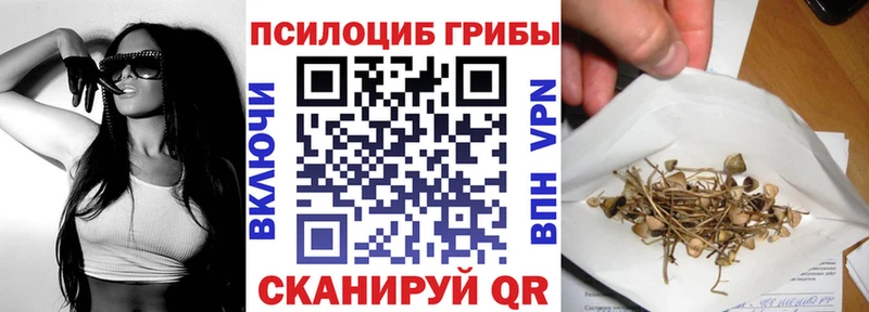 Псилоцибиновые грибы MAGIC MUSHROOMS  где купить наркоту  Усть-Илимск 